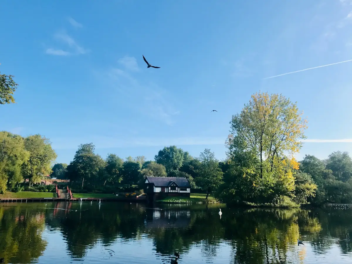 A lake in Stoke-on-Trent on a sunny day. There is a bird flying above the lake with a house and trees on the other side of the lake to where the photo has been taken.